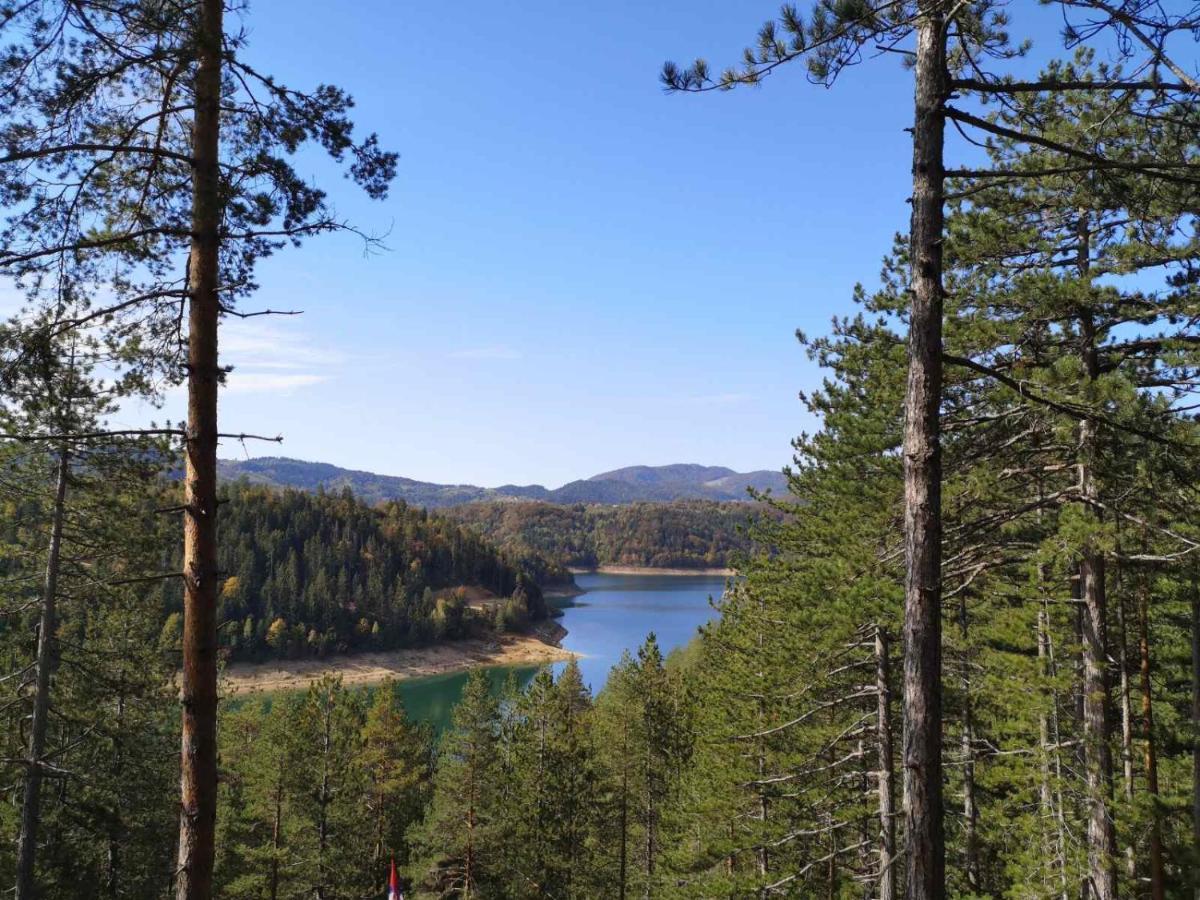 LAKI apartman Zaovine Bagian luar foto